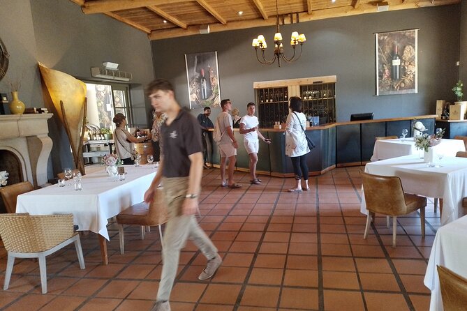 Cape Town Wine Tasting - Should you book the Cape Town wine tasting tour?