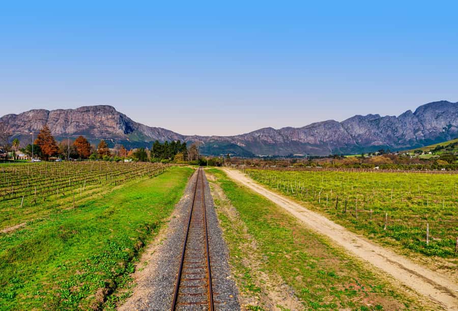 Cape Town: Wine Tram & Winelands Tour with Tastings & Pickup - Guides, vehicles, and the small-group rhythm