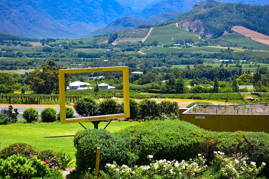 Cape Town: Wine Tram & Winelands Tour with Tastings & Pickup - Should you book the Wine Tram and Winelands Tour?