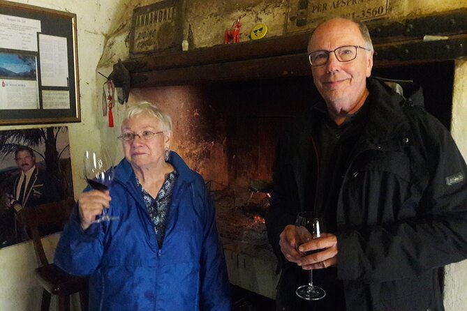 Cape Town: Winelands Private Half Day Tour - The guide is the main value