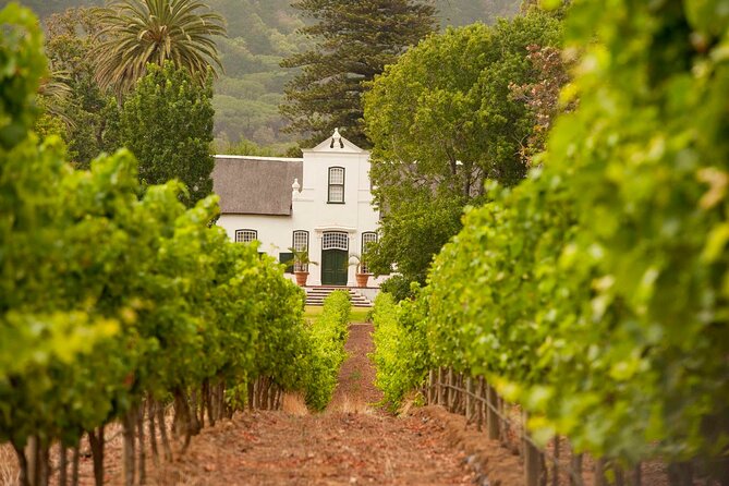 Cape Town: Winelands Private Half Day Tour - Is $131.01 per person good value?