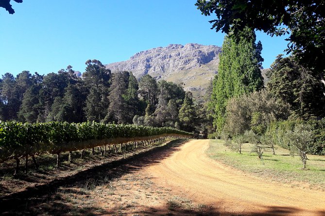 Cape Town Winelands Stellenbosch Private Afternoon Tour - Oom Samie Se Winkel, a store frozen in time