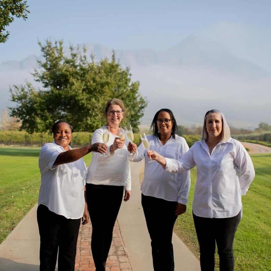Cape Town: Winelands Wine Tour & Wine Tasting with Lunch - A different side of the Cape Winelands