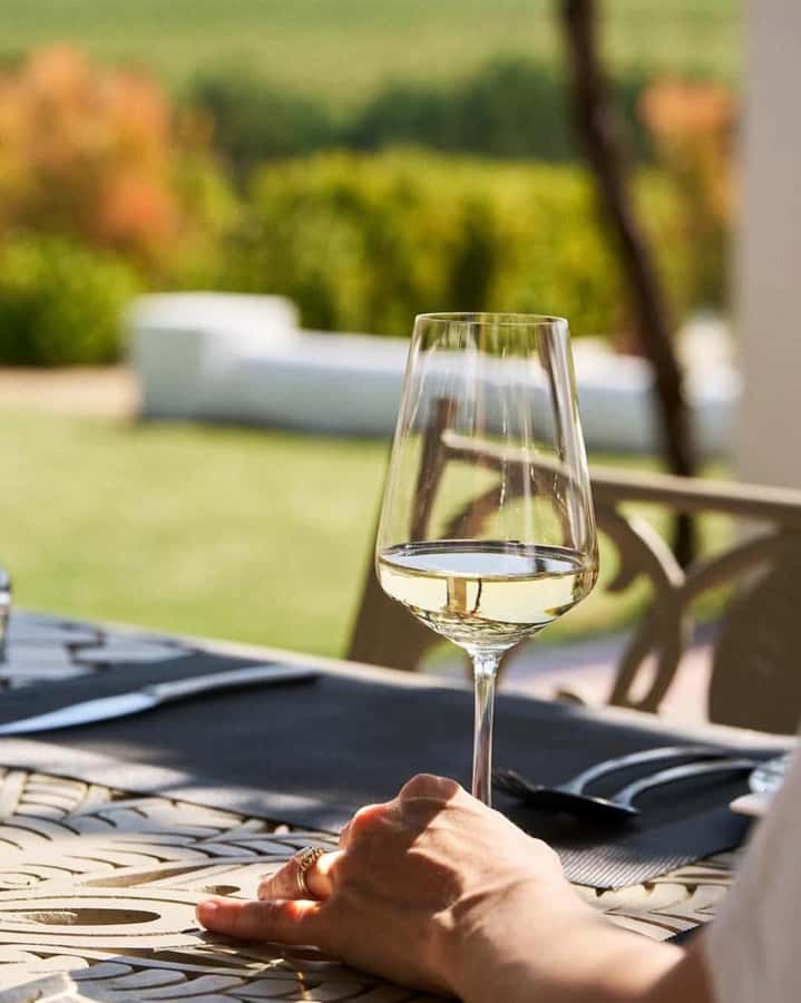 Cape Town: Winelands Wine Tour & Wine Tasting with Lunch - Preston’s calm, personal guiding style