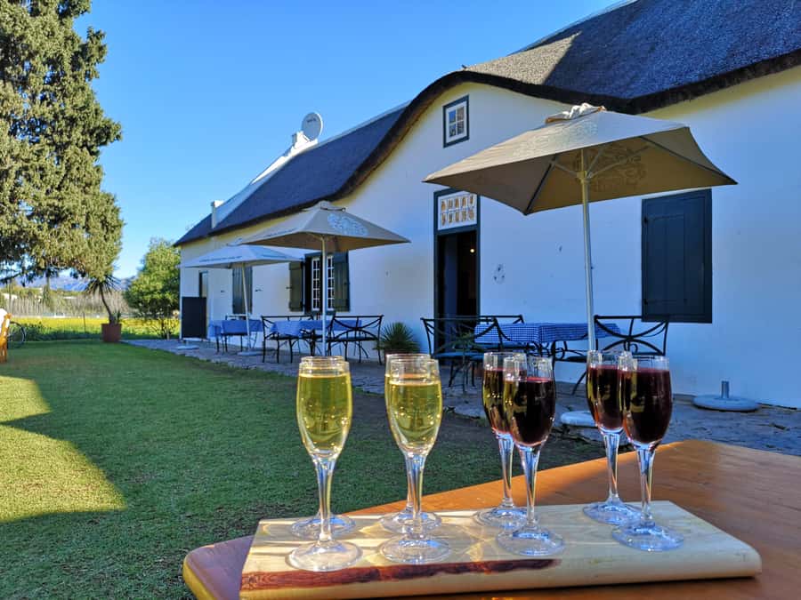 Cape Town: Winelands Wine Tour & Wine Tasting with Lunch - What $168 buys you
