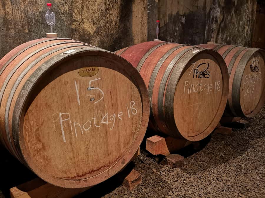Cape Town: Winelands Wine Tour & Wine Tasting with Lunch - Small details that make the day easier