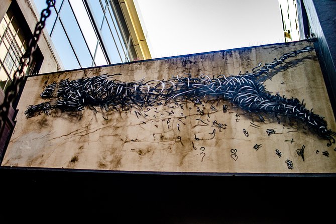 Cape Town Woodstock Street Art Walking Tour - Practical concerns about weather and reliability