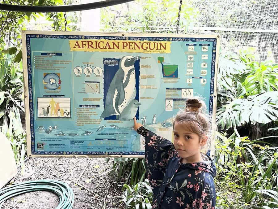 Cape Town: World of Birds & Animal Sanctuary - What makes the bird collection worthwhile