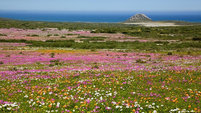 Cape West Coast Flower Tour - Kraalbaai Lagoon and its white beach