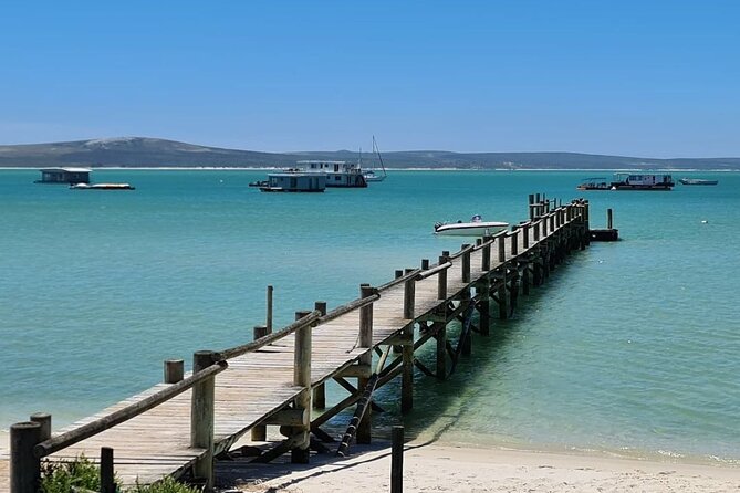 Cape West Coast Flower Tour - Price, timing, and cancellation advice