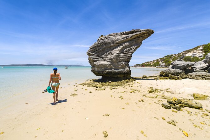 Cape West Coast Full Day Private Day Tour - Yzerfontein and the Whale Season Detour