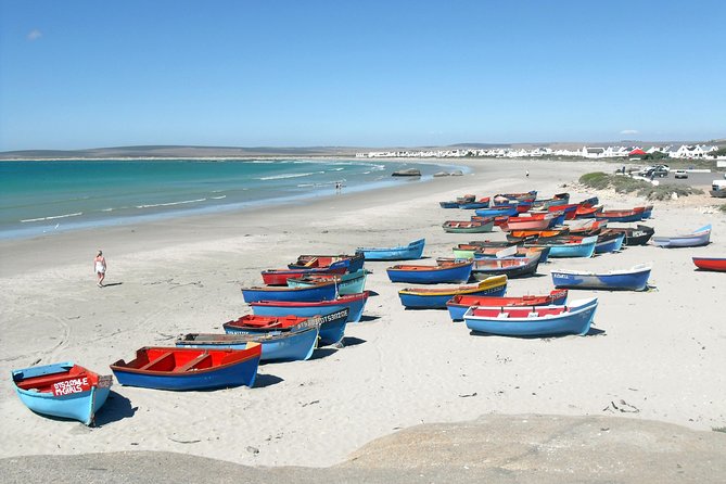 Cape West Coast Full Day Private Day Tour - !Khwa ttu and San Culture