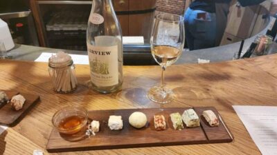 Cape Wineland 3 Award Winning Vineyards