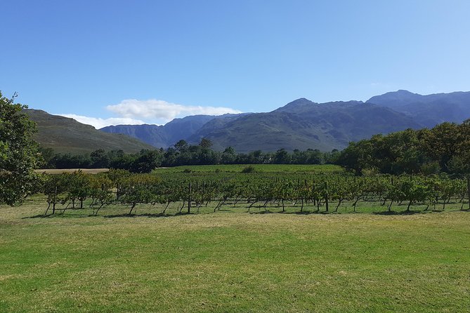 Cape Winelands and Wine Tasting Full Day Tour - Why a full day in the Winelands makes sense