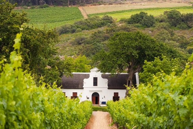 Cape Winelands and Wine Tasting Full Day Tour - Starting near the V&A Waterfront at 9:00 a.m.