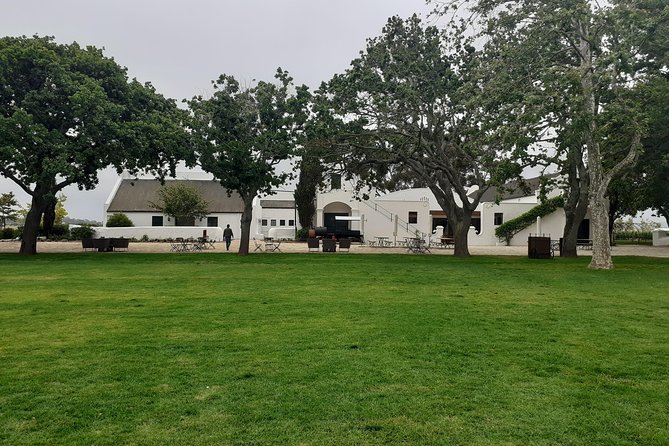 Cape Winelands and Wine Tasting Full Day Tour - Franschhoek, one hour for food, history, and a walk