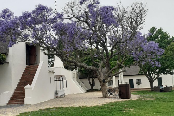 Cape Winelands and Wine Tasting Full Day Tour - Stellenbosch, oak-lined streets and Cape Dutch buildings