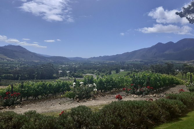 Cape Winelands and Wine Tasting Full Day Tour - How flexible is the route?