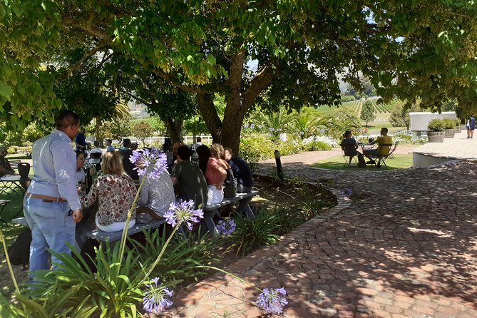 Cape Winelands and Wine Tasting Full Day Tour - Fairview, where wine meets goat cheese