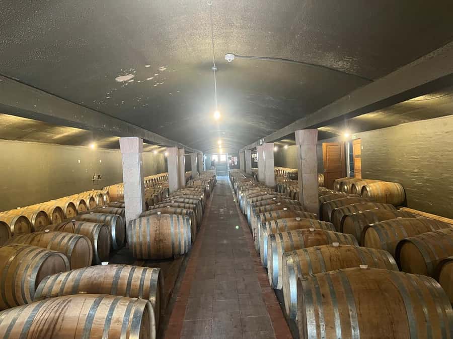 Cape Winelands Experience: Paarl, Stellenbosch & Franschhoek - What This Cape Winelands Day Gets Right