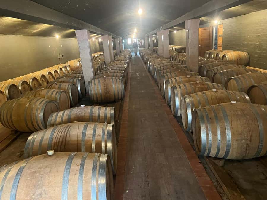 Cape Winelands Experience: Paarl, Stellenbosch & Franschhoek - Fairview in Paarl: Wine Meets Cheese