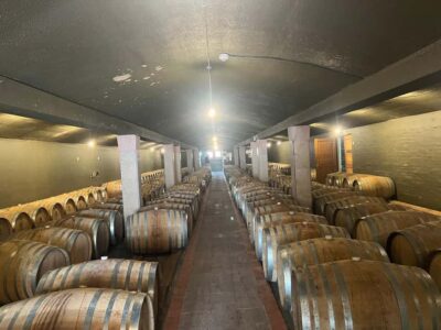 Cape Winelands Experience: Paarl, Stellenbosch & Franschhoek