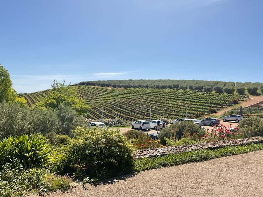 Cape Winelands Experience: Paarl, Stellenbosch & Franschhoek - Private Transport Makes the Route Easier