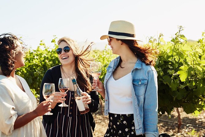 Cape Winelands Explore Full Day Tour with Private Transfer - Why a private Winelands tour can be worth the money