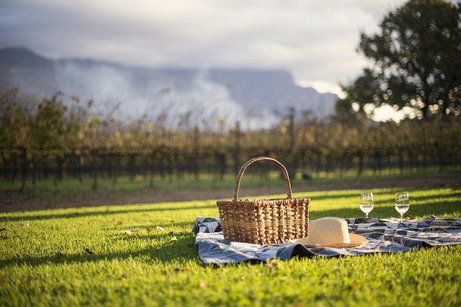 Cape Winelands Explore Full Day Tour with Private Transfer - Lunch and an hour in Franschhoek