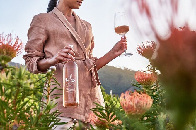 Cape Winelands Explore Full Day Tour with Private Transfer - The guide makes or breaks the day