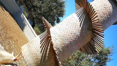 Cape Winelands Family Tour & Wildlife Encounter
