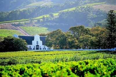 Cape Winelands in Stellenbosch and Franschhoek Private Tour
