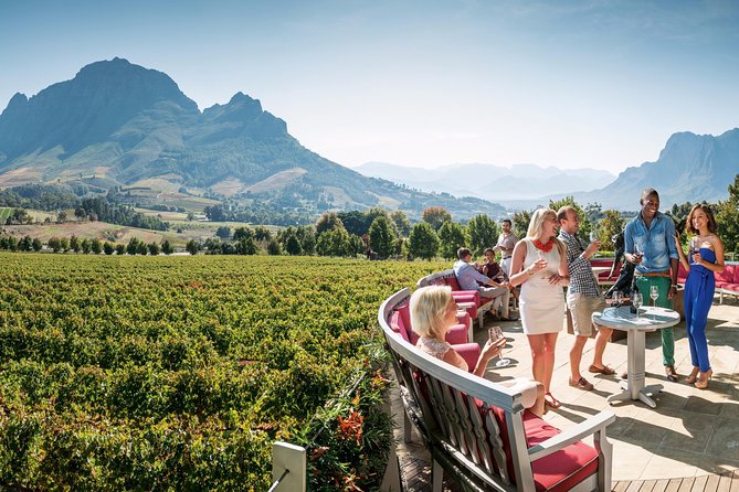 Cape Winelands shared day tour from Cape Town to Stellenbosch and Franschhoek - Why this Cape Winelands day trip works