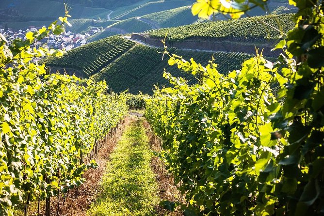 Cape Winelands shared day tour from Cape Town to Stellenbosch and Franschhoek - Franschhoek, French Huguenots, and lunch