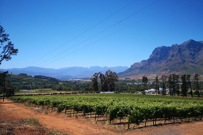 Cape Winelands Stellenbosch Franschhoek Paarl Tour from Cape Town - Wine tastings, cheese, and the cost question