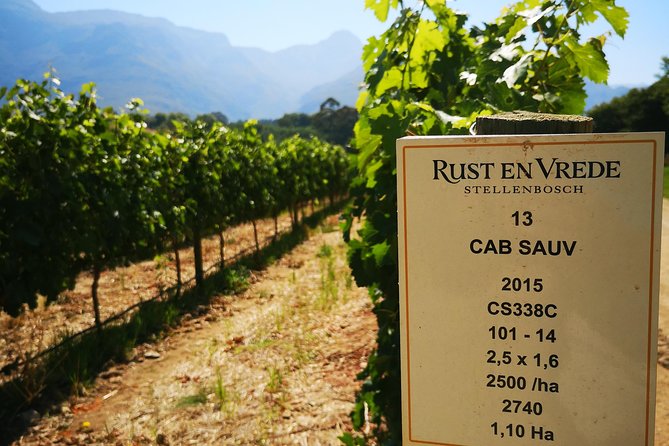 Cape Winelands Stellenbosch Franschhoek Paarl Tour from Cape Town - Timing, transport, and the pace of the day