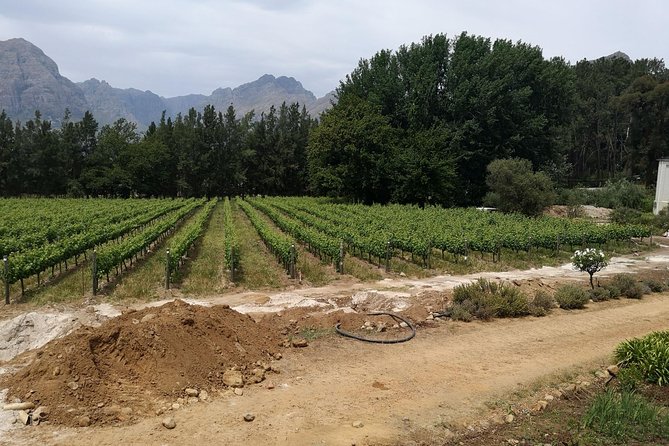 Cape Winelands Stellenbosch Franschhoek Paarl Tour from Cape Town - Franschhoek and the Hell’s Hoogte mountain crossing