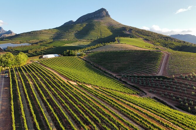 Cape Winelands Tour - Key points to know before booking