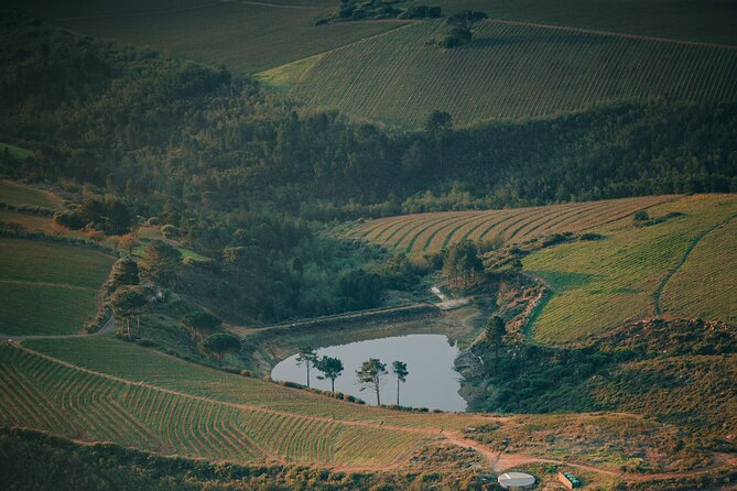 Cape Winelands Tour - Haute Cabriere adds sparkling wine to the mix