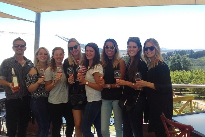 Cape Winelands Wine Tour (Cape To Grape Wine Tours) - D’Aria Winery and the first lesson in Cape wine
