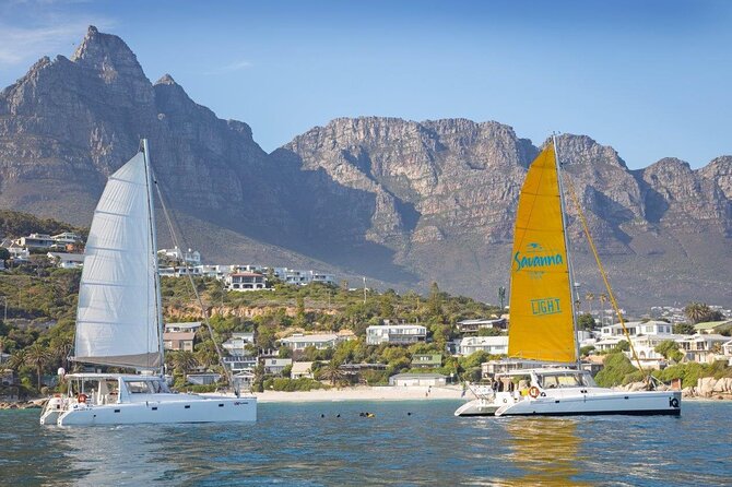 Catamaran Cruise in Cape Town - Key points before you book