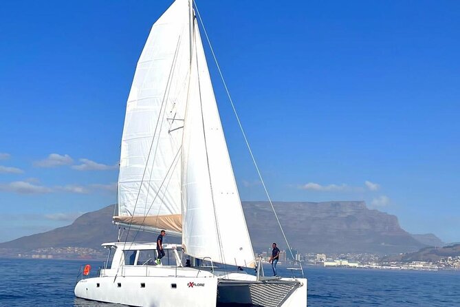 Catamaran Cruise in Cape Town - Why Cape Town looks different from a catamaran