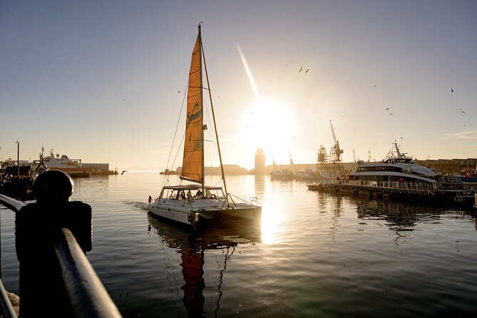 Catamaran Cruise in Cape Town - Weather, comfort, and practical expectations