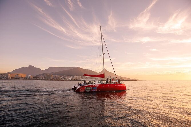 Catamaran Sunset Champagne Cruise Cape Town - Key points to know before sailing