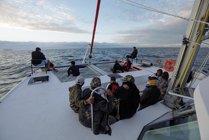 Catamaran Sunset Champagne Cruise Cape Town - Is the $37.38 price good value?