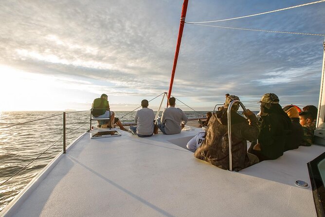 Catamaran Sunset Champagne Cruise Cape Town - Table Mountain, Robben Island, and the setting sun