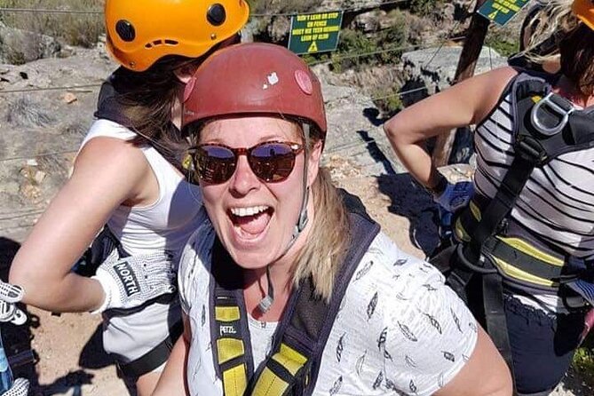 Ceres Zipline Tour - Price, Timing, and What the $28.91 Covers