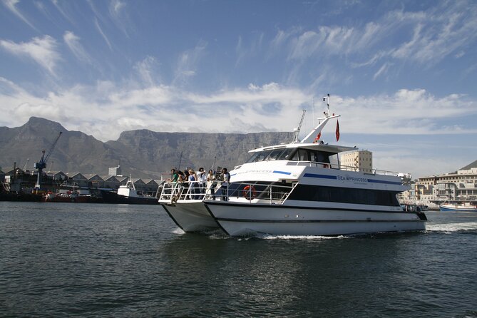 Champagne Cruise (Pre-Sunset) from Cape Town - Wildlife sightings on the Atlantic