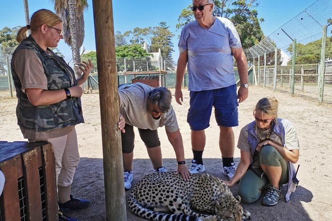 Cheetah Outreach Tour Somerset West, Gordon's Bay and Strand Beaches - Strand Beach and its warm water