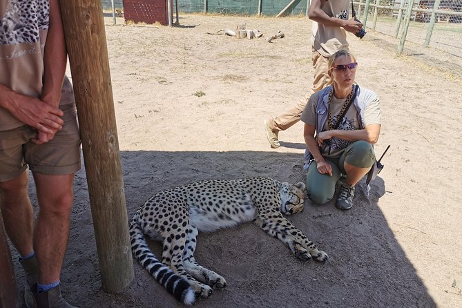 Cheetah Outreach Tour Somerset West, Gordon's Bay and Strand Beaches - Who should book this tour?